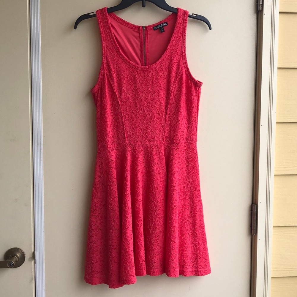 Express Lace Floral Skater Dress